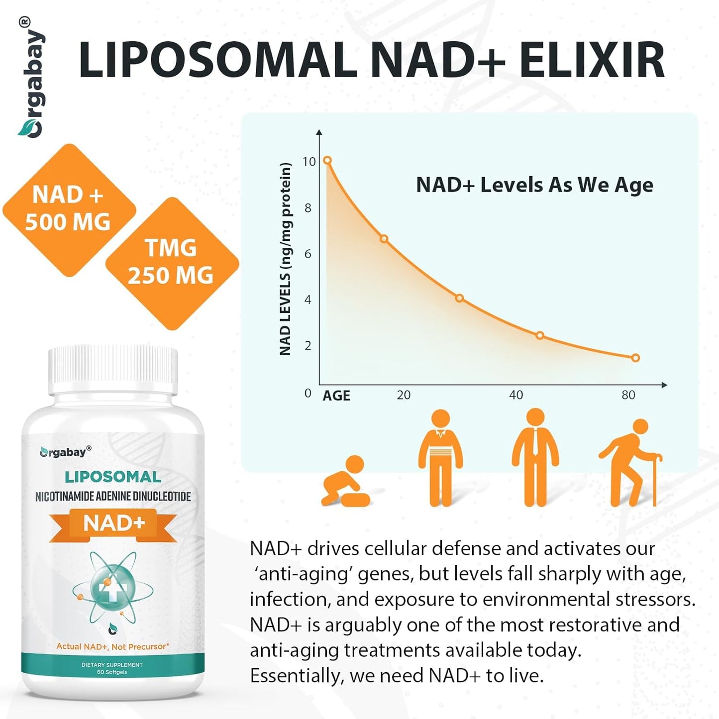 Liposomal NAD+ Supplement 500 Mg, High Absorption, Boost NAD+ with TMG 250 Mg, Actual NAD plus More Efficient than Nicotinamide Riboside, Support Cellular Energy, Healthy Aging | 60 Softgels
