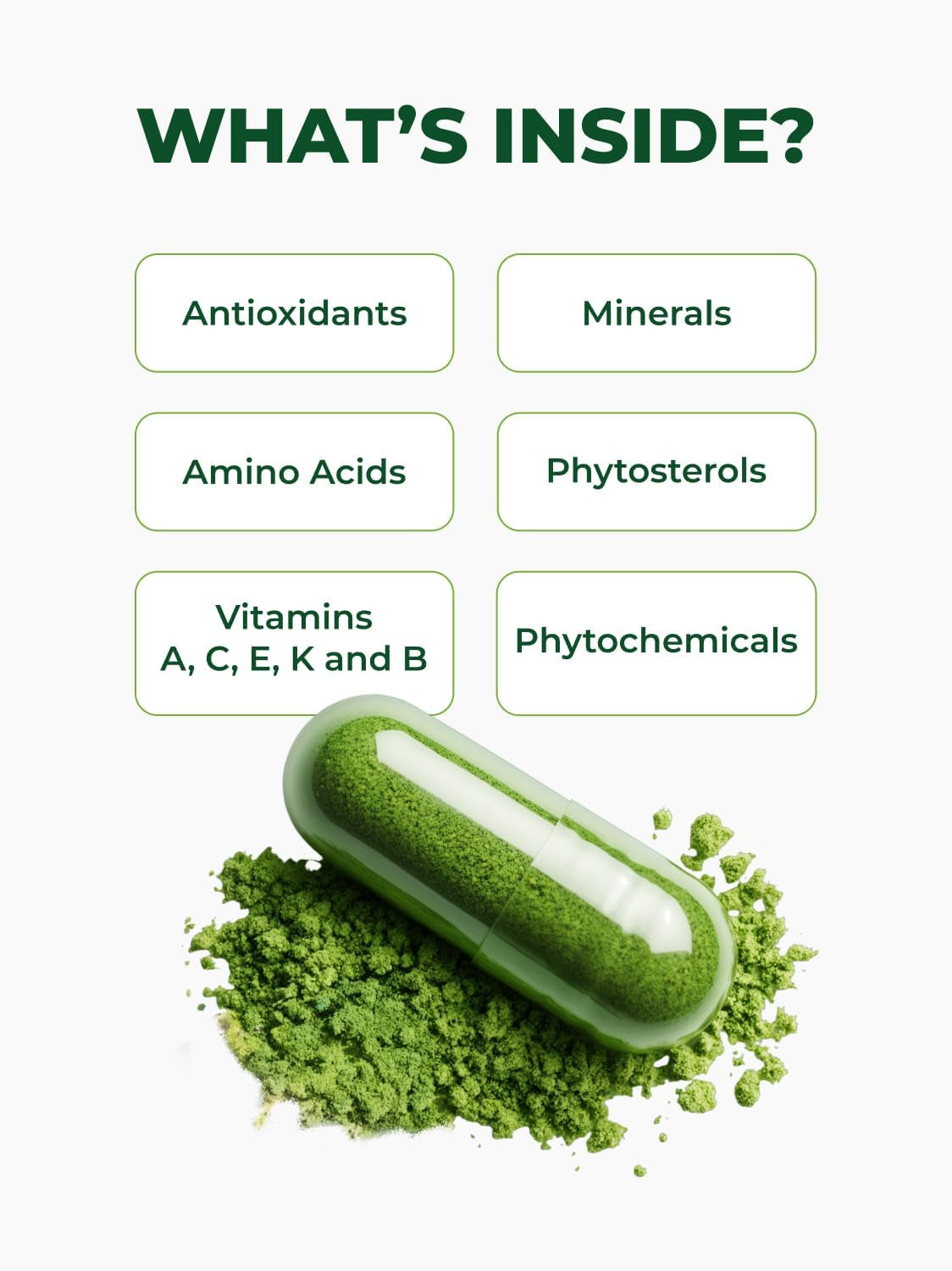 Capsules Single Origin Moringa Powder Organic. Moringa Leaf. Energy, Metabolism, & Immune Support. 120Ct. 500Mg Caps.
