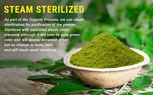 Organic Moringa Powder - 1.10 Lbs (17.64 Oz) | USDA Organics, Non-Gmo, Kosher, Halal, Moringa Olifera Powder - 100% Raw and Natural, by SHOPOSR