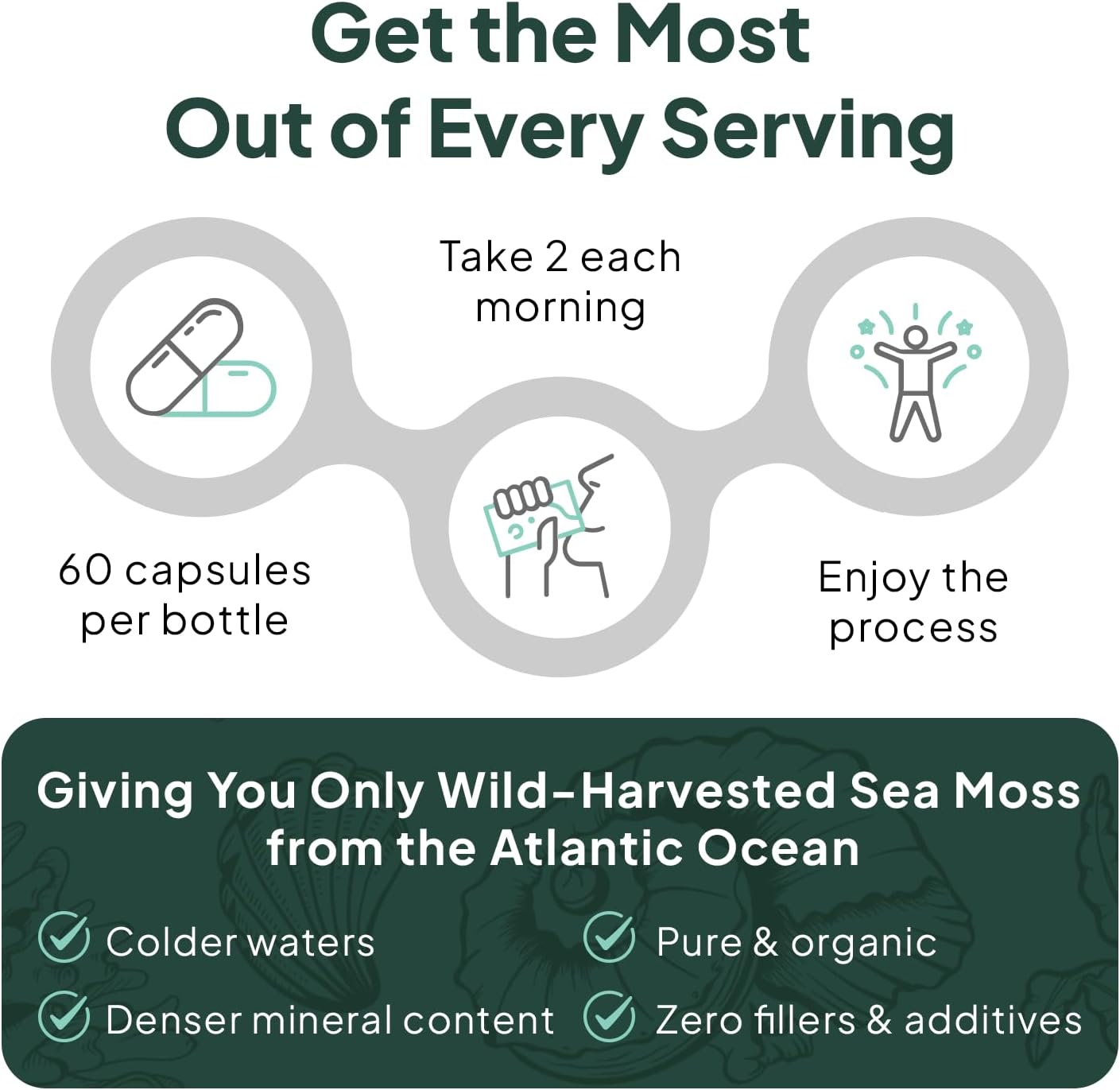 Wild Sea Moss Capsules - 100% Organic Irish Sea Moss with Organic Chlorella, Bladderwrack and Vitamin D for Energy, Lung Health and Thyroid Support for Women and Men - 60 Capsules