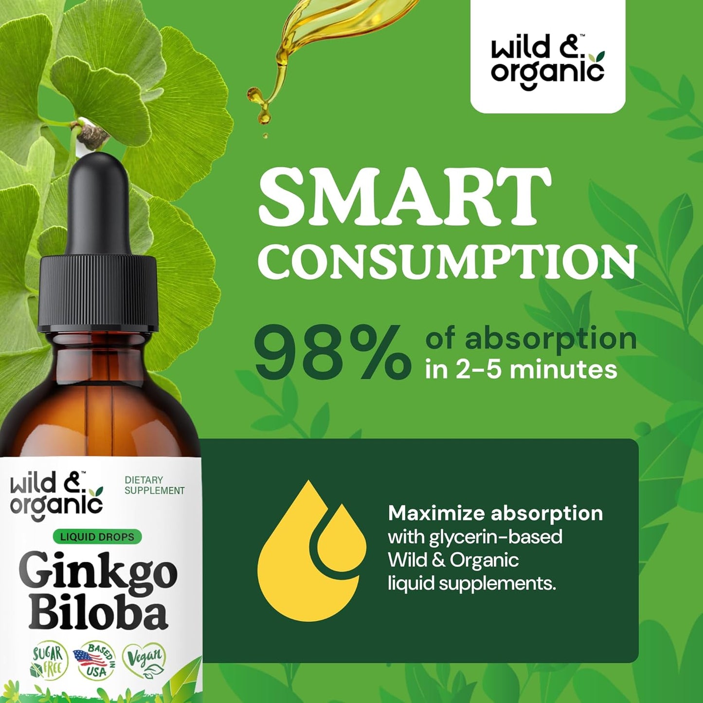 Ginkgo Biloba Tincture - Brain & Focus Support with Ginkgo Leaf Supplement - Vegan, Sugar & Alcohol-Free Herbal Extract Tincture - 2 Fl Oz