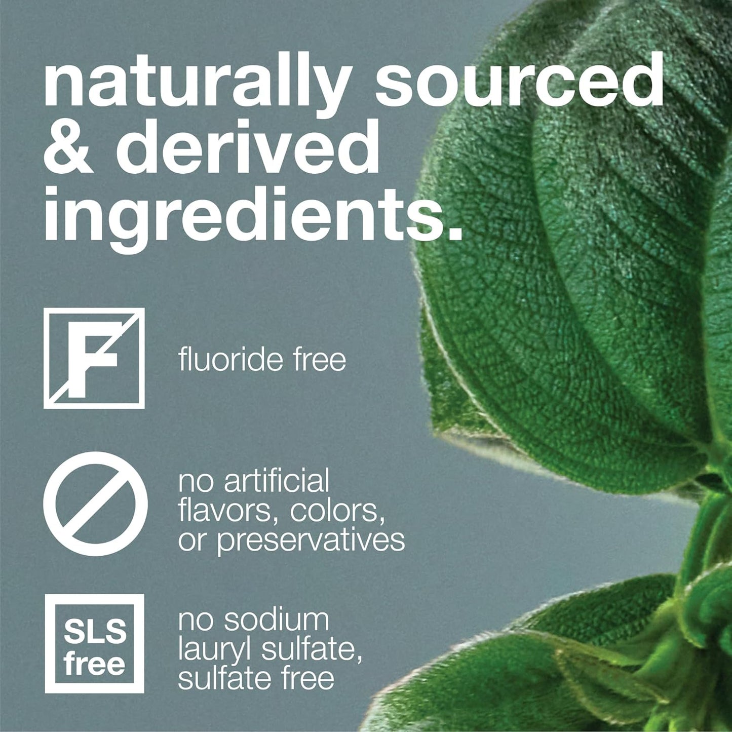 Fluoride Free Toothpaste, Teeth Whitening, Antiplaque, SLS (Sulfate) Free, Promotes Enamel Health, Mouth & Gum Detox, EWG Verified, Peppermint, 5.25Oz