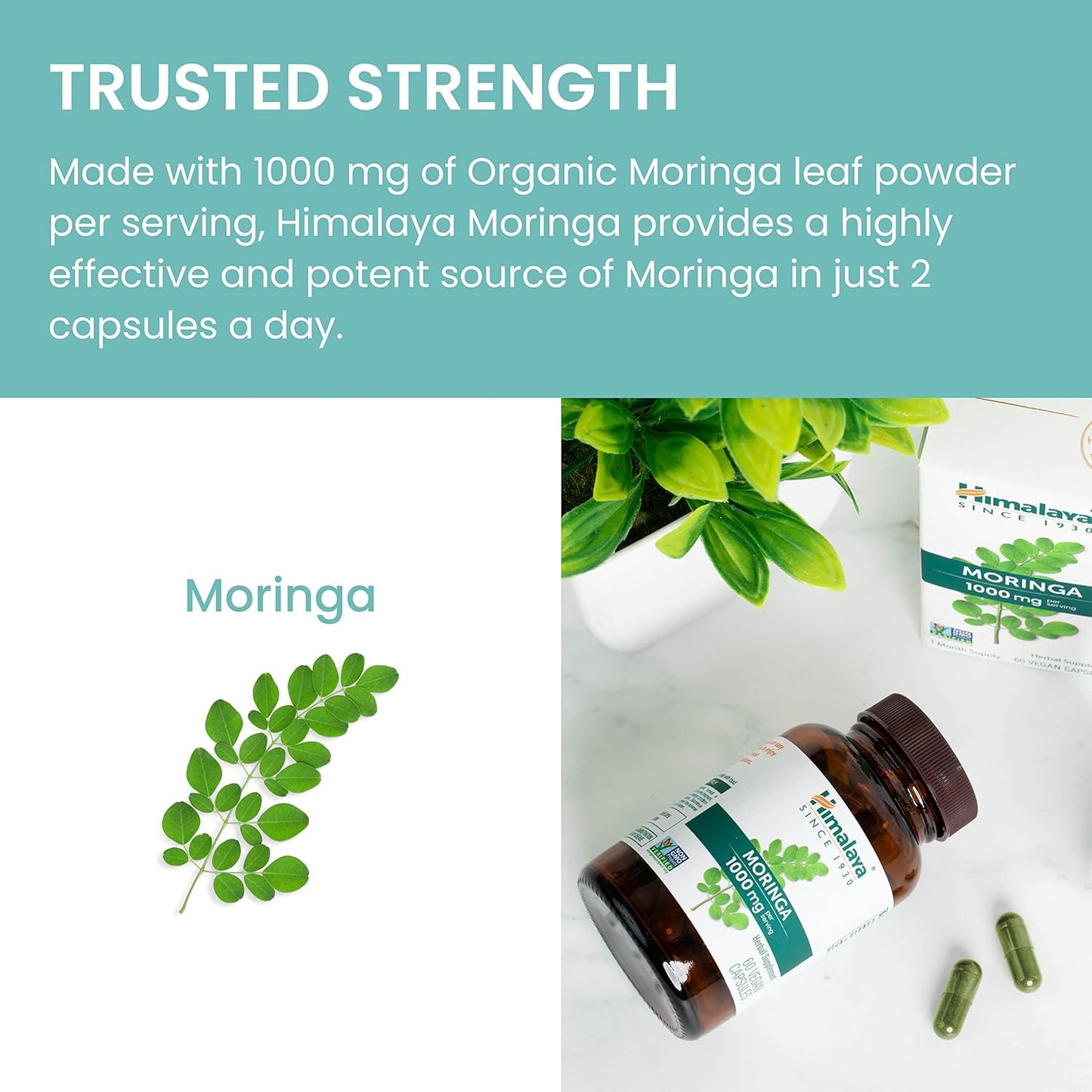 Moringa, 60 Capsules, Green Superfood for Antioxidant Support and Wellness, 1000 Mg, 1 Month Supply, Non-Gmo Project Verified, Vegan, Gluten Free Supplement, Additive Free