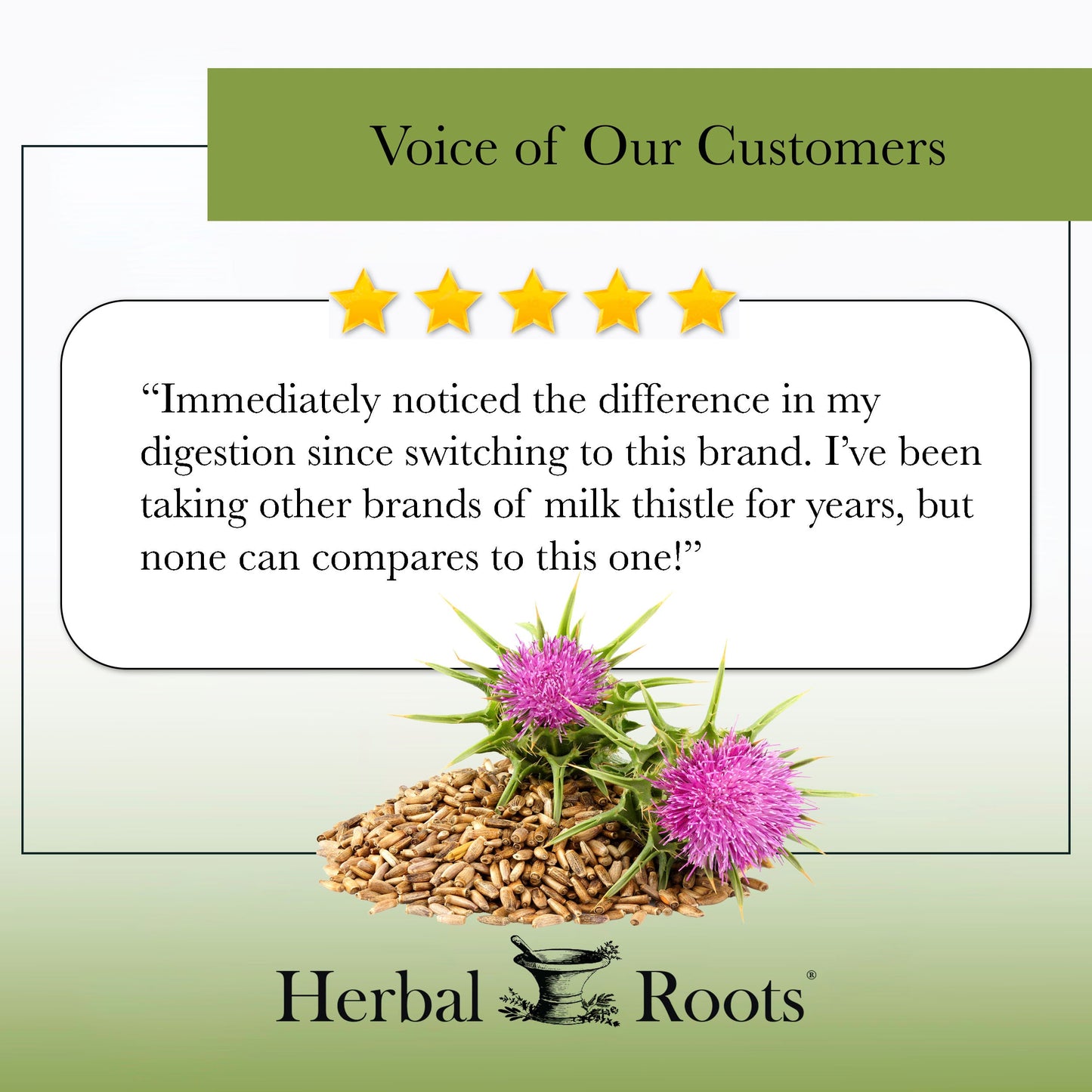 Milk Thistle