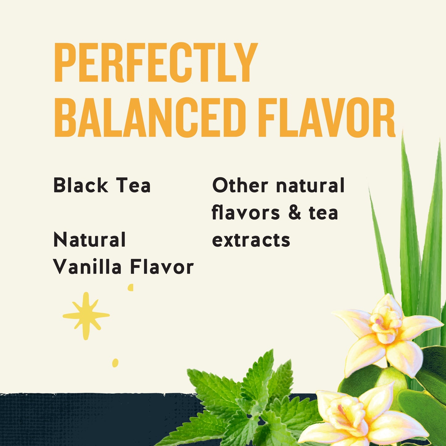 High Caffeine Energy Black Tea Bags (12 Count)