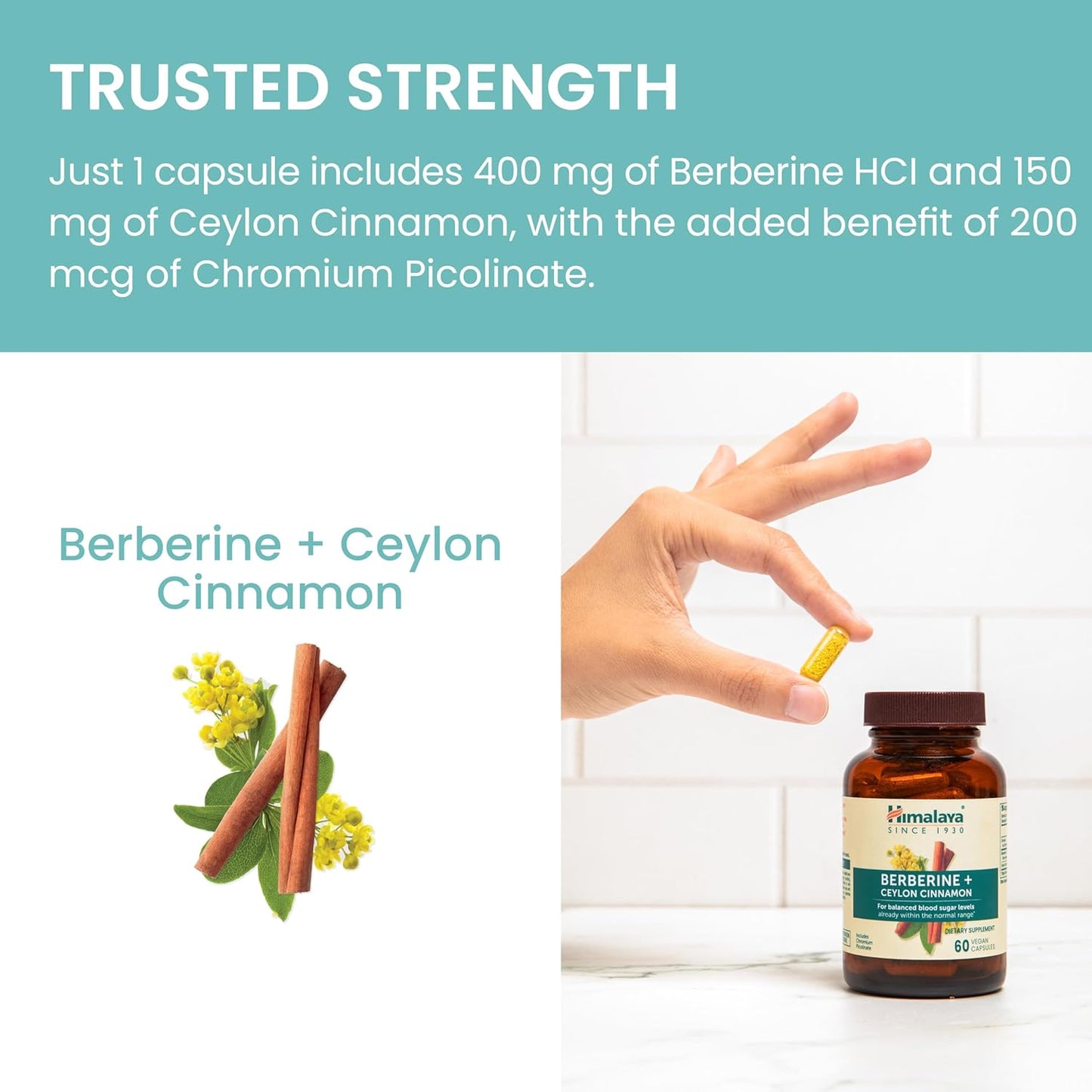 Berberine + Ceylon Cinnamon from Indian Barberry Root, Includes Chromium, for Gastrointestinal, and Daily Metabolism Support, Vegan, Gluten Free, Herbal Supplement, 60 Capsules