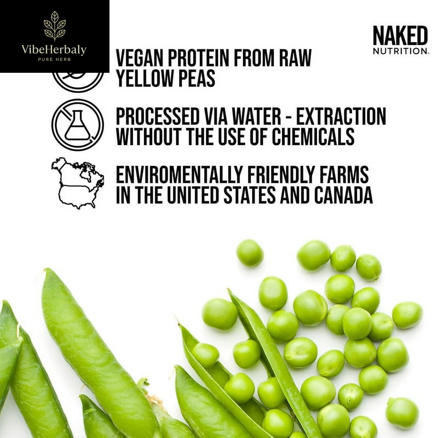 Naked Pea - Chocolate Peanut Butter Pea Protein, Only Six Ingredients, Gluten Free Vegan Protein, 5LB