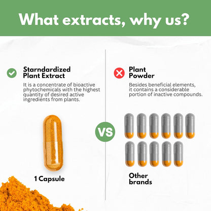 Boswellia Curcumin Ginger Extracts Supplement – Strong 95% Curcuminoids Natural