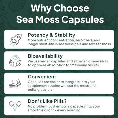 Wild Sea Moss Capsules - 100% Organic Irish Sea Moss with Organic Chlorella, Bladderwrack and Vitamin D for Energy, Lung Health and Thyroid Support for Women and Men - 60 Capsules