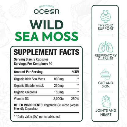 Wild Sea Moss Capsules - 100% Organic Irish Sea Moss with Organic Chlorella, Bladderwrack and Vitamin D for Energy, Lung Health and Thyroid Support for Women and Men - 60 Capsules