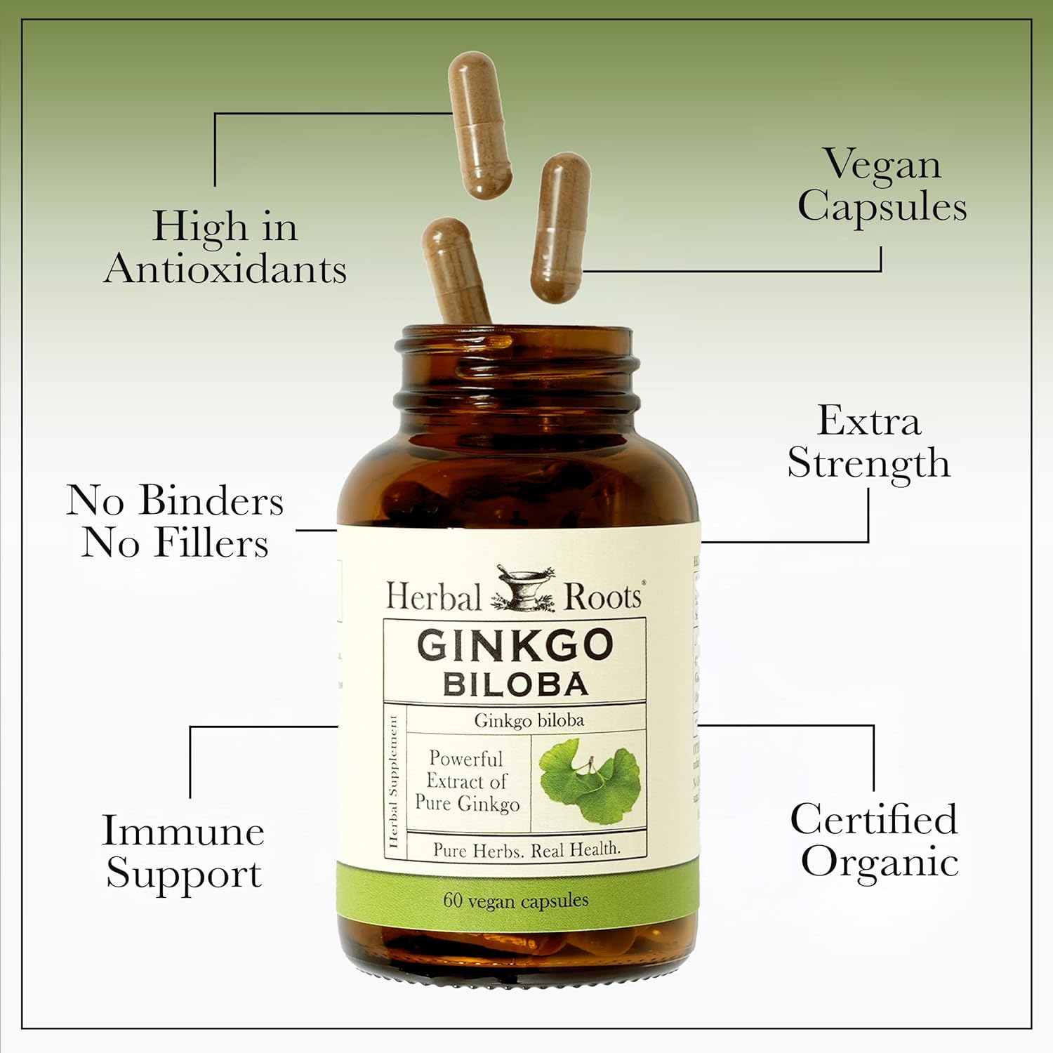 Organic Ginkgo Biloba Made with Pure Organic Ginkgo Leaf and Extract - 60 Vegan Capsules