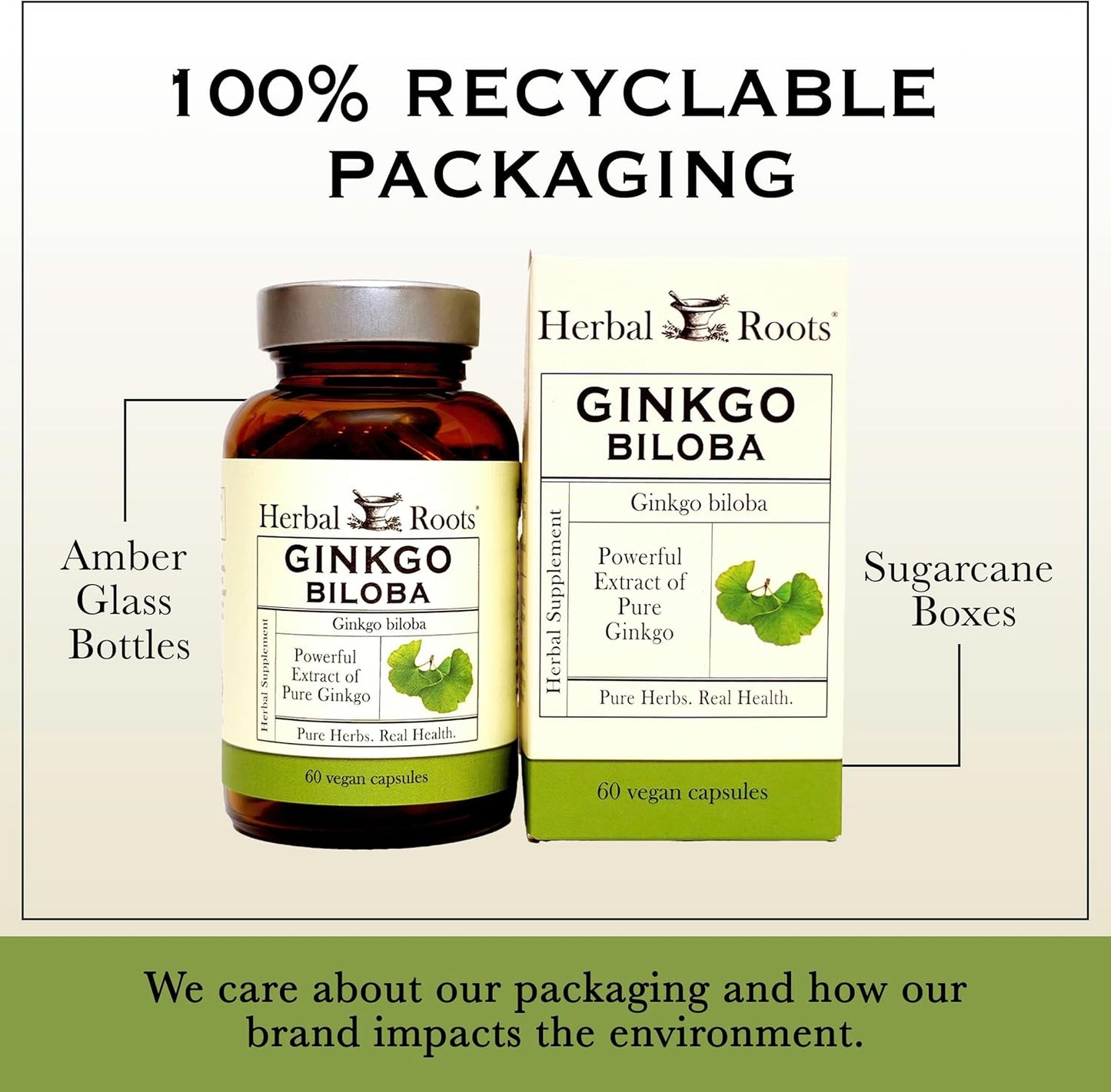 Organic Ginkgo Biloba Made with Pure Organic Ginkgo Leaf and Extract - 60 Vegan Capsules