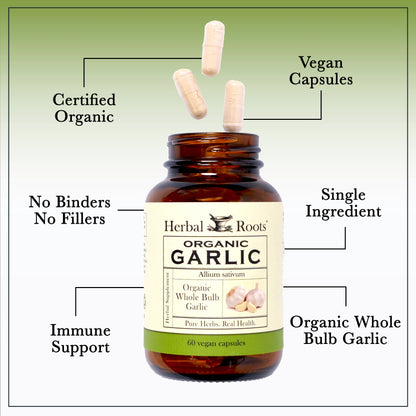 Organic Whole Bulb Garlic