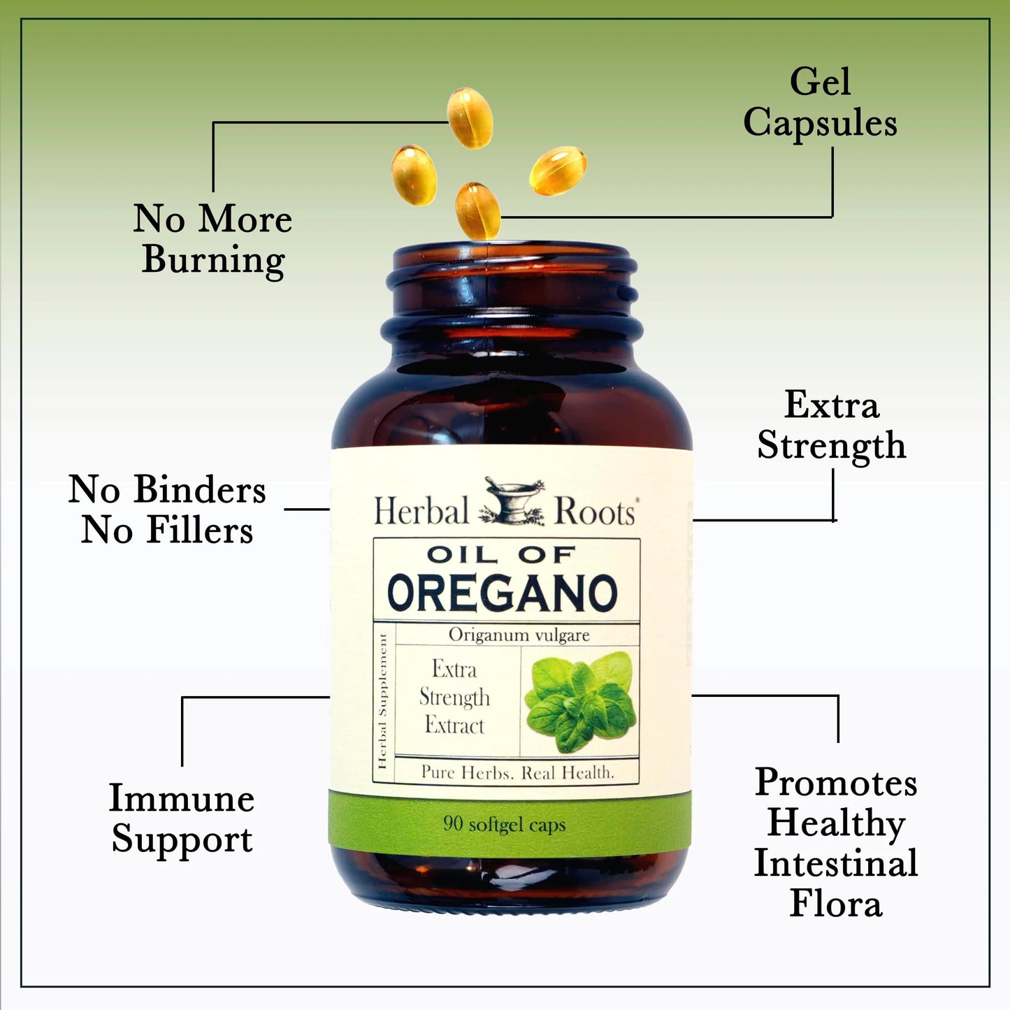 Oil of Oregano