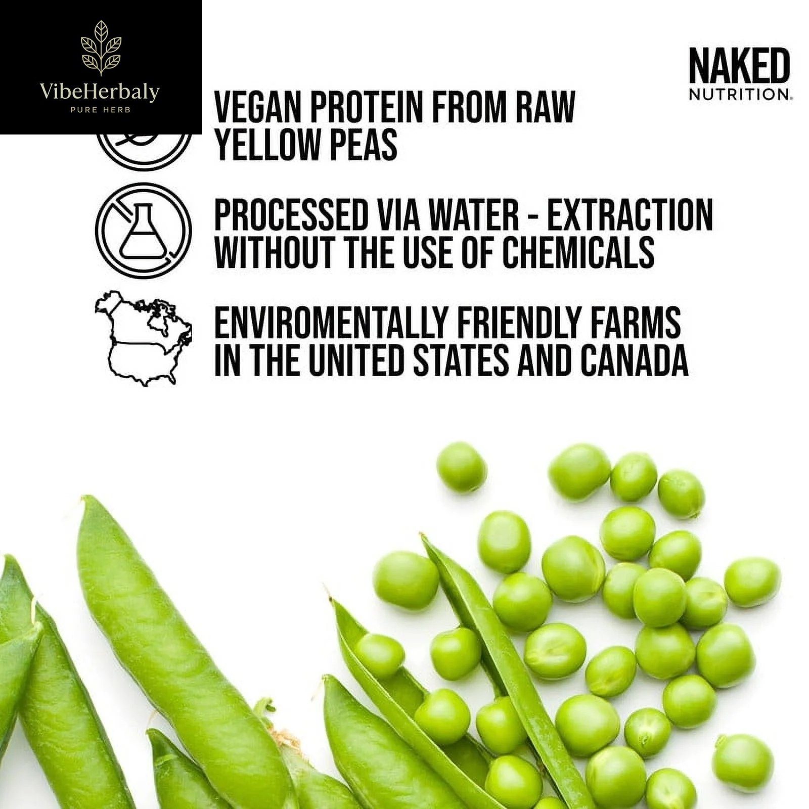 Naked Pea - Chocolate Peanut Butter Pea Protein, Only Six Ingredients, Gluten Free Vegan Protein, 5LB